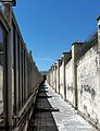 30Lagodekhi